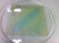 Water Wash Removable Insulation Paste